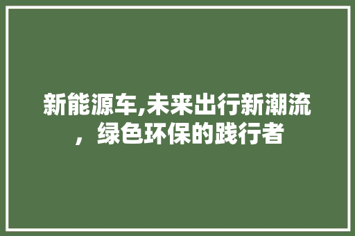 新能源车,未来出行新潮流，绿色环保的践行者