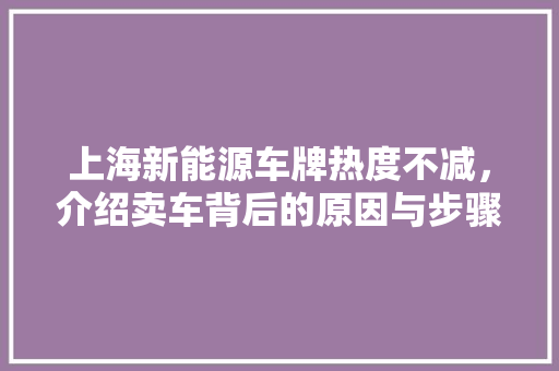 上海新能源车牌热度不减，介绍卖车背后的原因与步骤