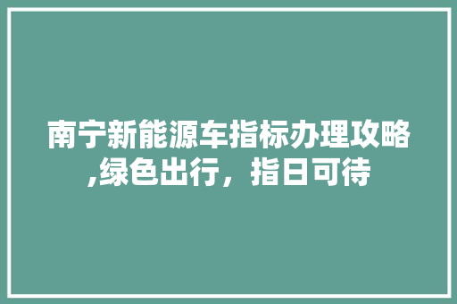 南宁新能源车指标办理攻略,绿色出行，指日可待