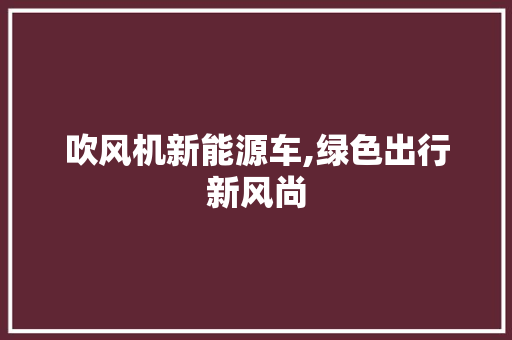 吹风机新能源车,绿色出行新风尚