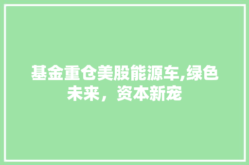 基金重仓美股能源车,绿色未来，资本新宠