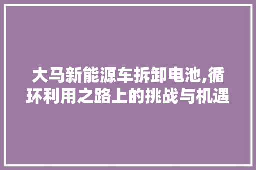 大马新能源车拆卸电池,循环利用之路上的挑战与机遇