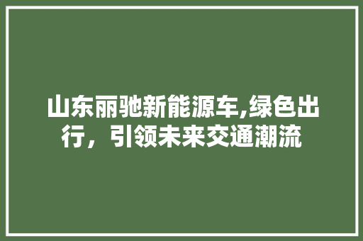 山东丽驰新能源车,绿色出行，引领未来交通潮流