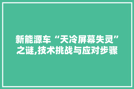 新能源车“天冷屏幕失灵”之谜,技术挑战与应对步骤