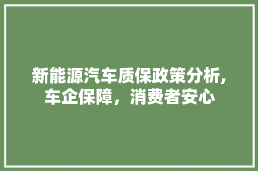 新能源汽车质保政策分析,车企保障，消费者安心