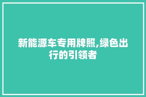 新能源车专用牌照,绿色出行的引领者