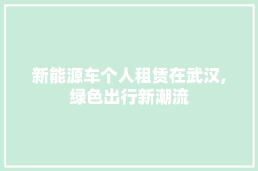 新能源车个人租赁在武汉,绿色出行新潮流