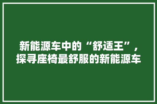 新能源车中的“舒适王”,探寻座椅最舒服的新能源车