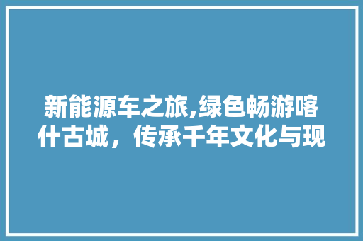 新能源车之旅,绿色畅游喀什古城，传承千年文化与现代科技交融