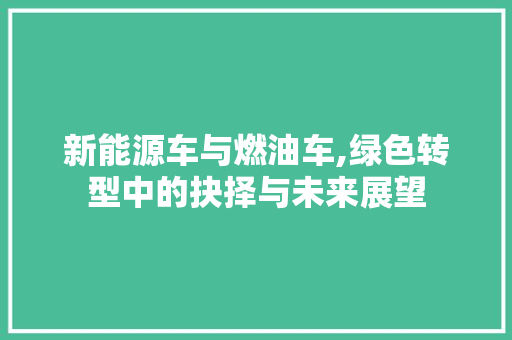 新能源车与燃油车,绿色转型中的抉择与未来展望