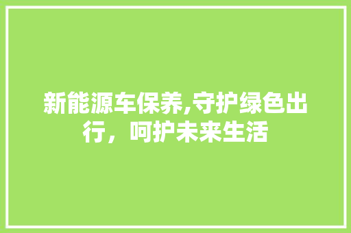 新能源车保养,守护绿色出行，呵护未来生活