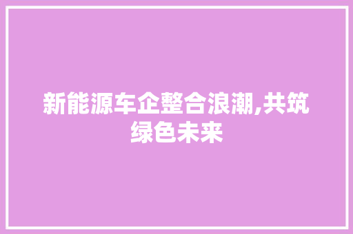 新能源车企整合浪潮,共筑绿色未来