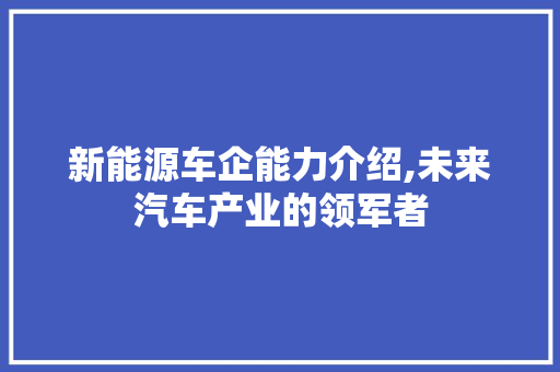新能源车企能力介绍,未来汽车产业的领军者