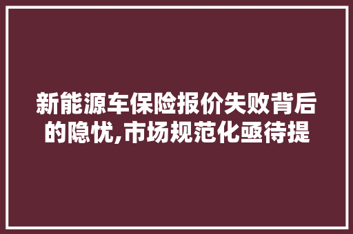 新能源车保险报价失败背后的隐忧,市场规范化亟待提升