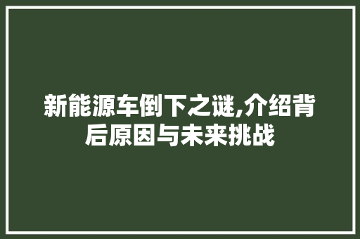 新能源车倒下之谜,介绍背后原因与未来挑战
