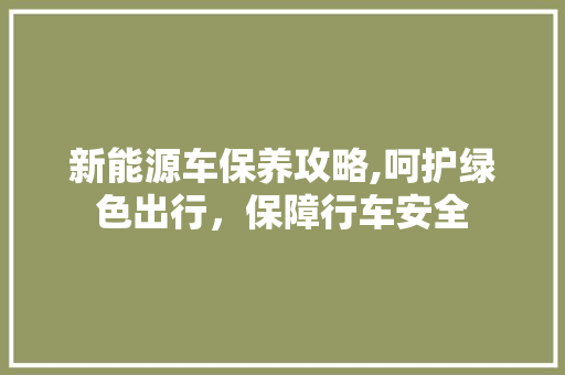 新能源车保养攻略,呵护绿色出行，保障行车安全