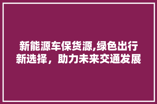 新能源车保货源,绿色出行新选择，助力未来交通发展