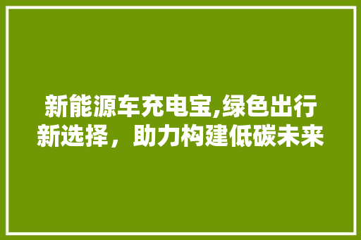 新能源车充电宝,绿色出行新选择，助力构建低碳未来