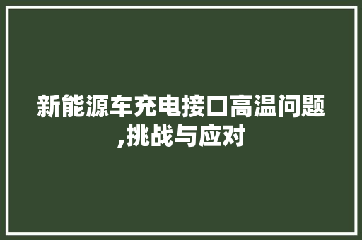 新能源车充电接口高温问题,挑战与应对
