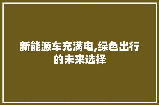 新能源车充满电,绿色出行的未来选择