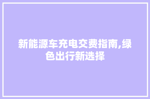 新能源车充电交费指南,绿色出行新选择