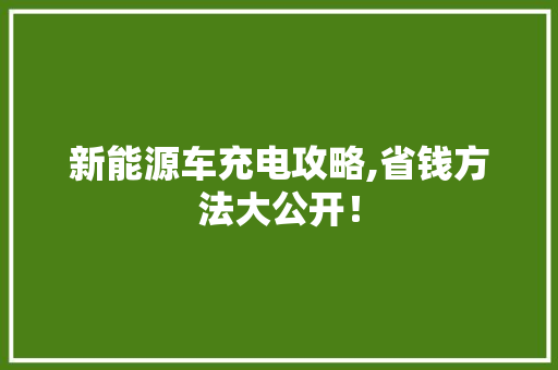 新能源车充电攻略,省钱方法大公开！ 生活常识