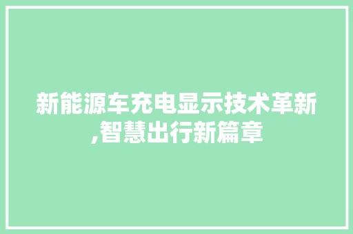 新能源车充电显示技术革新,智慧出行新篇章
