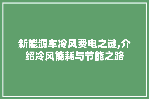 新能源车冷风费电之谜,介绍冷风能耗与节能之路