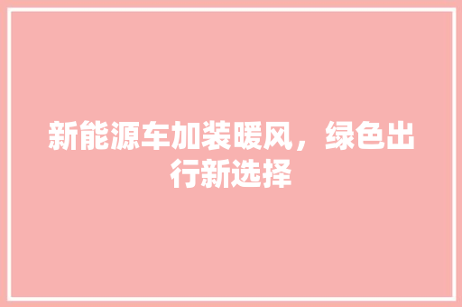 新能源车加装暖风，绿色出行新选择