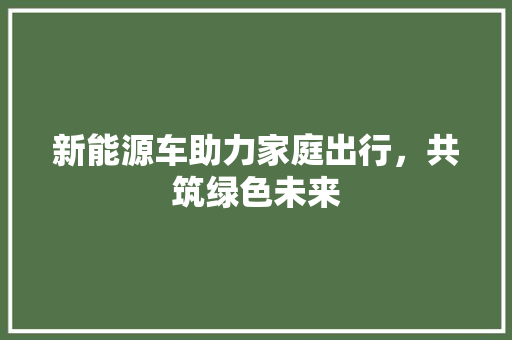 新能源车助力家庭出行，共筑绿色未来