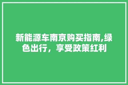 新能源车南京购买指南,绿色出行，享受政策红利