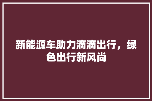 新能源车助力滴滴出行，绿色出行新风尚