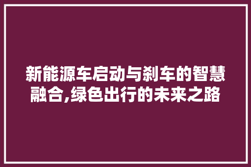 新能源车启动与刹车的智慧融合,绿色出行的未来之路