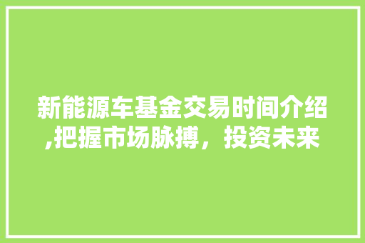 新能源车基金交易时间介绍,把握市场脉搏，投资未来