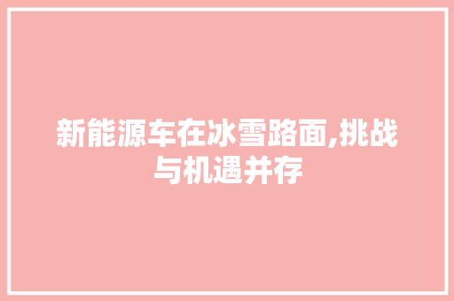 新能源车在冰雪路面,挑战与机遇并存