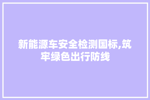 新能源车安全检测国标,筑牢绿色出行防线