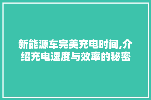 新能源车完美充电时间,介绍充电速度与效率的秘密
