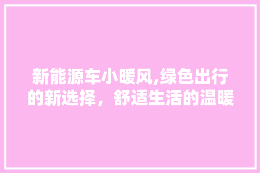 新能源车小暖风,绿色出行的新选择，舒适生活的温暖守护