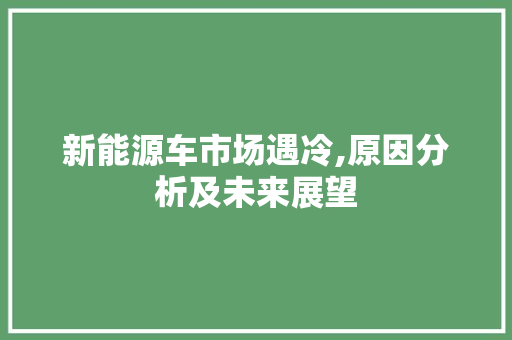 新能源车市场遇冷,原因分析及未来展望
