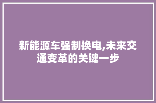 新能源车强制换电,未来交通变革的关键一步