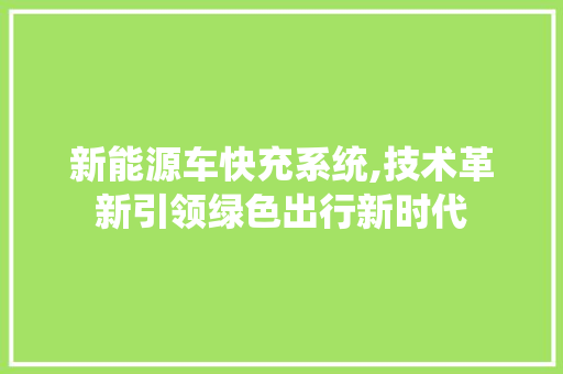 新能源车快充系统,技术革新引领绿色出行新时代