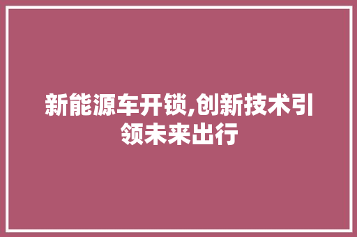 新能源车开锁,创新技术引领未来出行