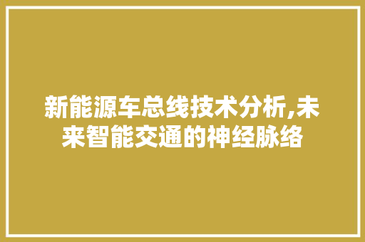 新能源车总线技术分析,未来智能交通的神经脉络
