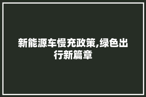 新能源车慢充政策,绿色出行新篇章