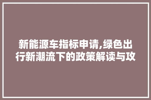 新能源车指标申请,绿色出行新潮流下的政策解读与攻略 休闲娱乐