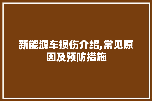 新能源车损伤介绍,常见原因及预防措施
