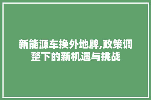 新能源车换外地牌,政策调整下的新机遇与挑战