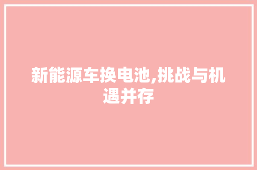 新能源车换电池,挑战与机遇并存