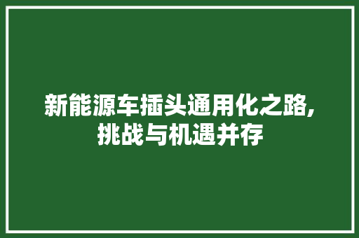 新能源车插头通用化之路,挑战与机遇并存