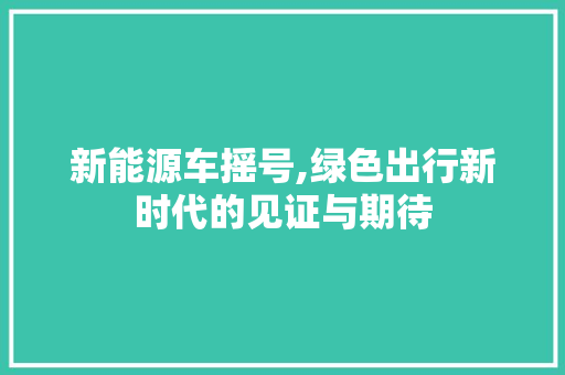 新能源车摇号,绿色出行新时代的见证与期待
